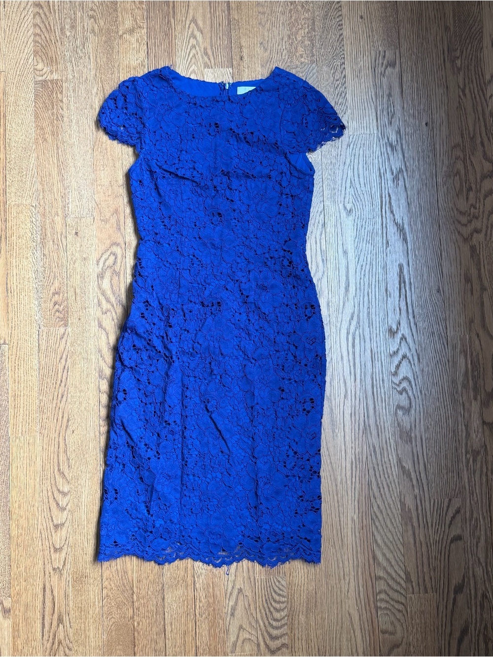 Erin Fetherston Royal Blue Cutout Lace Cocktail Dress Size 2